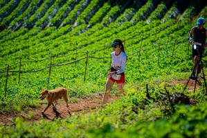 BIB: 
                            <button type="button" onclick="openModal(19163023)" class="btn btn-primary btn-sm float-right btn-popup" data-toggle="modal" data-target=".modal-high-quality">
                        <i class="fas fa-shopping-cart"></i> Add to Cart
                    </button>
                                            <button type="button" onclick="isThisMe(19163023, true)" class="btn btn-success btn-sm float-right btn-popup btn-isme hidden" data-toggle="tooltip" data-placement="bottom" title="นี่คือรูปของคุณใช่ไหม คลิกที่นี่เพื่อเอาเข้าอัลบั้ม">
                        <i class="fas fa-plus"></i> Add to album
                    </button>
                    <button type="button" onclick="isThisMe(19163023, false)" class="btn btn-warning btn-sm float-right btn-popup btn-isnotme hidden">
                        <i class="fas fa-ban"></i> Remove from album
                    </button>